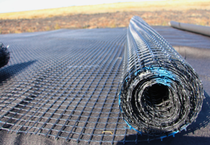 GEOGRIDS